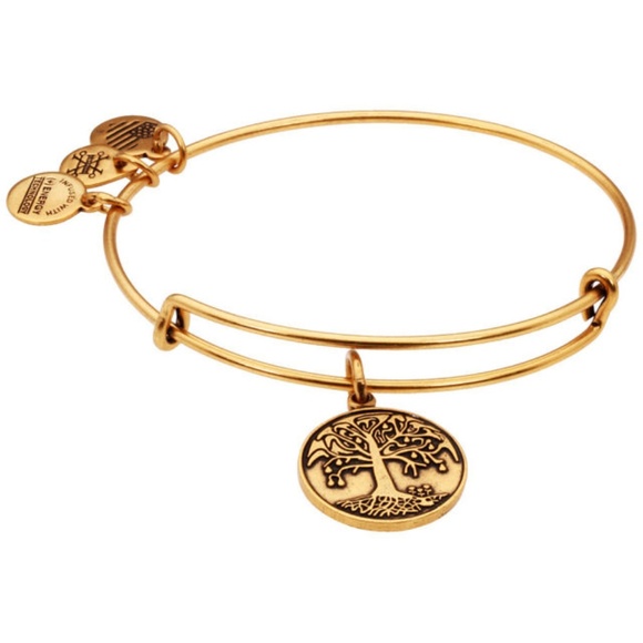 Alex and Ani Jewelry - Alex And Ani Tree Of Life Charm Rafaelian Gold